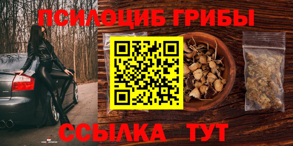 Псилоцибиновые грибы GOLDEN TEACHER Михайловка